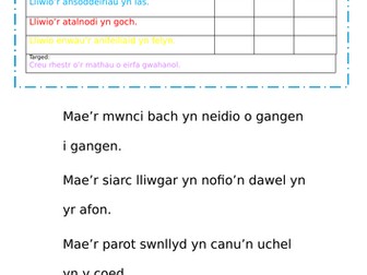 Welsh Literacy - Adnabod mathau o eirfa
