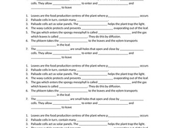 Leaf Structure Gap Fill