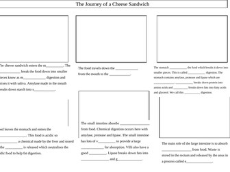 The Journey of a Cheese Sandwich Worksheet