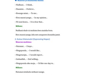 Kutoa Maoni (Expressing Opinions)