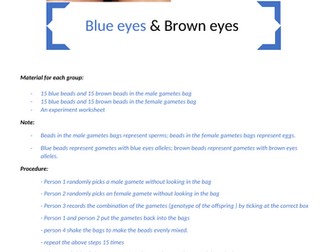 simple interitance and punnet square experiment