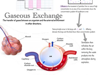 Gaseous Exchange Poster