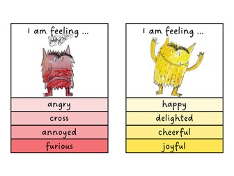 Feelings area