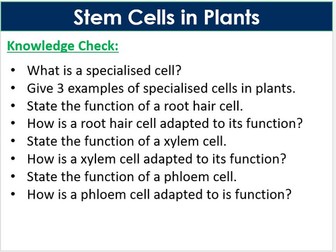Stem Cells in Plants