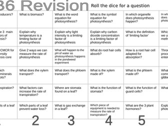 Dice Revision - SB6
