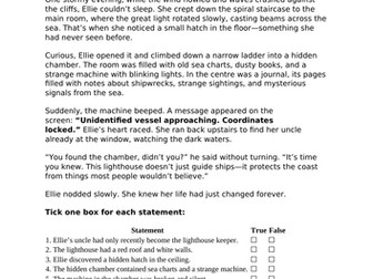 Y5&6 Reading Skills - true or false?