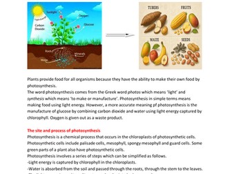 PHOTOSYNTHESIS