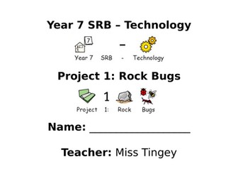 Rock Bug Technology Project