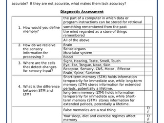 Memory Diagnostic Quiz