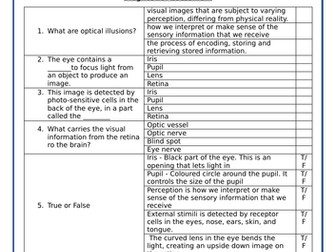 Perception Diagnostic Quiz