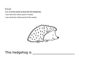 Describe and Label a Hedgehog