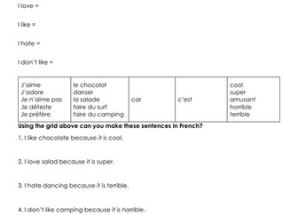 French opinions worksheet