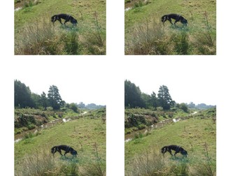 Creating a detailed description