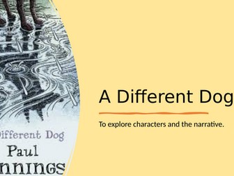 English Tasks based on the novel: A Different Dog