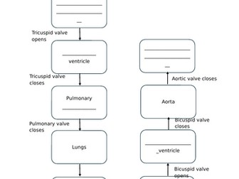 AAQ Cambridge Advanced National in Health and Social Care Unit F091