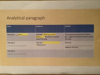 English Tasks based on the novel: A Different Dog