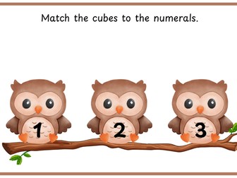 Owls- Match numerals