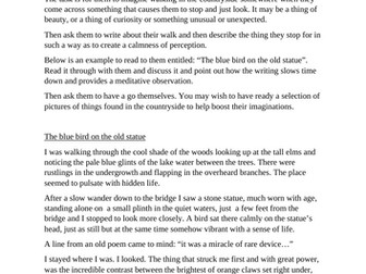 I stopped to look more closely.