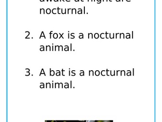 Nocturnal Animals EYFS lesson