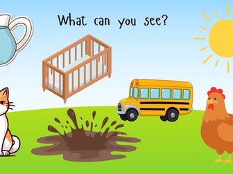 "What can you see?" phonics activity
