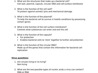 Prokaryotic Cells and Virus Questions