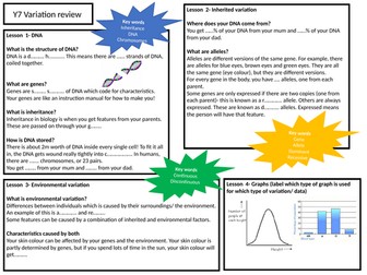 Variation learning mat- scaffolded
