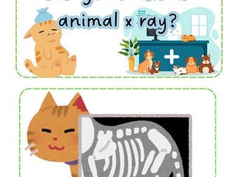 People who help us - Vets - X Rays