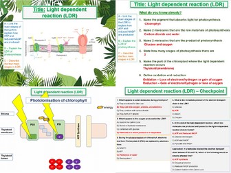 Light Dependent Reaction (LDR) - AQA A Level Biology- 11. Photosynthesis