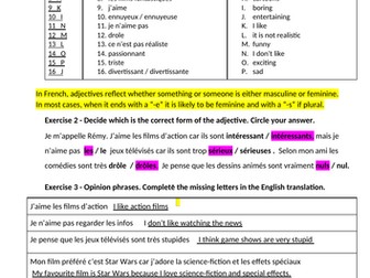 French Worksheet - Opinions about TV and Films KS3