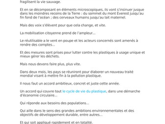 IB - Sharing the planet - L'environnement (speech on plastic pollution)
