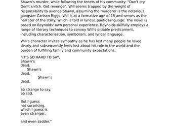 National 5 Critical Essay on Long Way Down by Jason Reynolds