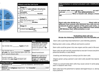 GCSE Biology Cell division and stem cells revision organiser