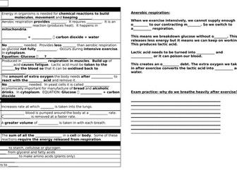 GCSE Biology Respiration revision organiser plus answer sheet