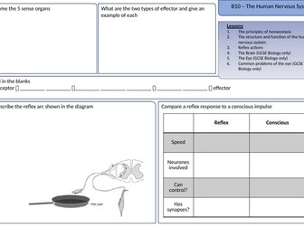 GCSE Biology Nervous system revision organiser plus answers. Includes separates content