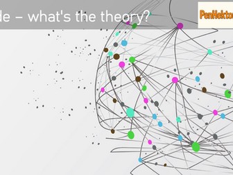 Trades Whats The Theory!