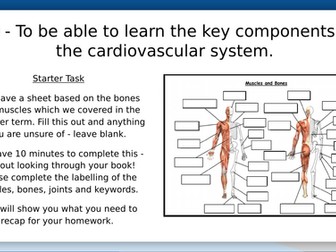 GCSE PE OCR Label of Heart and Pathway of Blood