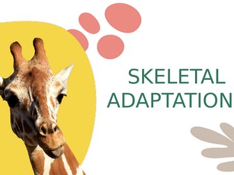 Animal Skeletal Adaptations