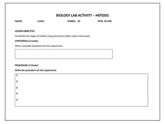 Mitosis lab worksheet