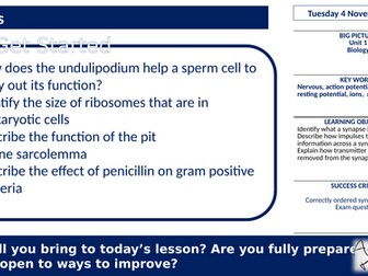 Synapses- AAQ Applied Science