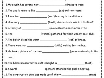 Irregular Plural Nouns Worksheet