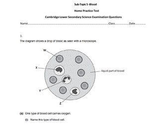 Year 8 Biology-Blood and Respiration
