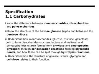 Edexcel Topic 1 L2 & L3 Carbohydrates Biology B A Level