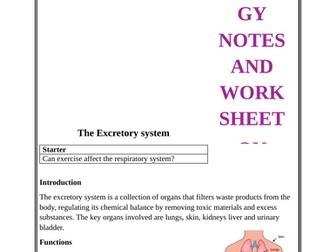 Activity book on digestive and excretory system.