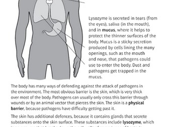 CB5f barriers CB5g immune system
