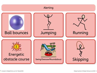 Sensory Circuit