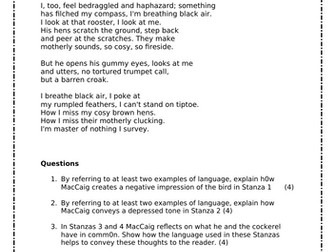 On Lachie's Croft: Practice Paper and Annotations