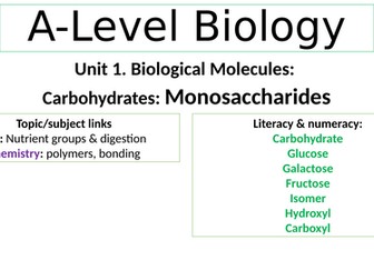 Biological Molecules. Monosaccharides