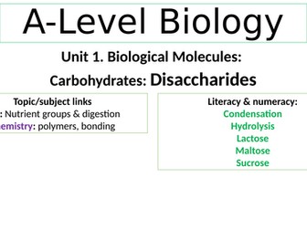 Biological Molecules. Disaccharides