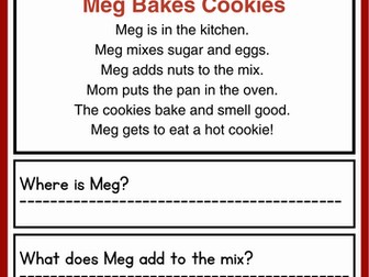 Christmas CVC Reading Comprehension Stories