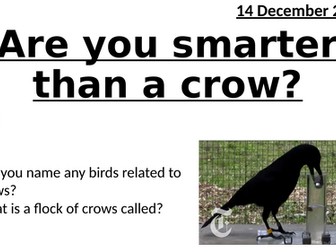Fun Lesson - Are you smarter than a crow